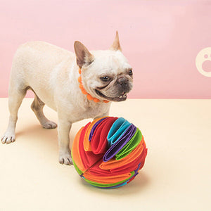 Snuffle Dog Ball - Pet Supplies Australia