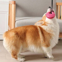 Load image into Gallery viewer, Silicone Suction Cup Toy - Pet Supplies Australia
