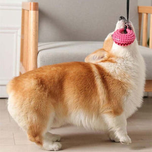 Silicone Suction Cup Toy - Pet Supplies Australia