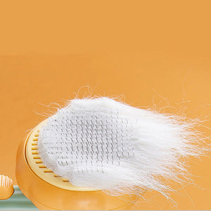 Pumpkin Pet Brush - Pet Supplies Australia