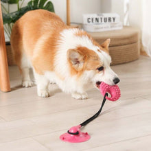 Load image into Gallery viewer, Silicone Suction Cup Toy - Pet Supplies Australia
