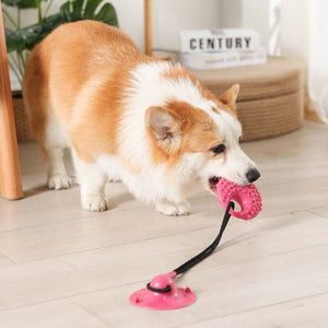 Silicone Suction Cup Toy - Pet Supplies Australia