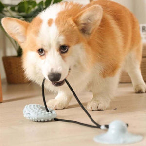 Silicone Suction Cup Toy - Pet Supplies Australia