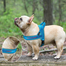 Load image into Gallery viewer, Personalised Embroidered Dog Harness - Pet Supplies Australia
