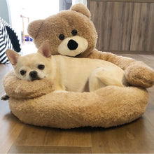 Load image into Gallery viewer, Bear Hug Pet Bed - Pet Supplies Australia
