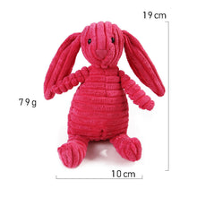 Load image into Gallery viewer, Squeaky Pet Toy - Pet Supplies Australia
