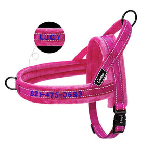 Personalised Embroidered Dog Harness - Pet Supplies Australia