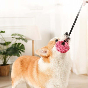 Silicone Suction Cup Toy - Pet Supplies Australia