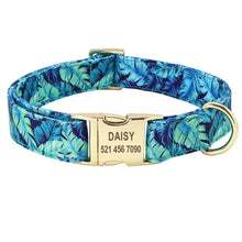 Load image into Gallery viewer, Personalised Dog Collar - FREE ENGRAVING - Pet Supplies Australia
