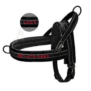 Personalised Embroidered Dog Harness - Pet Supplies Australia